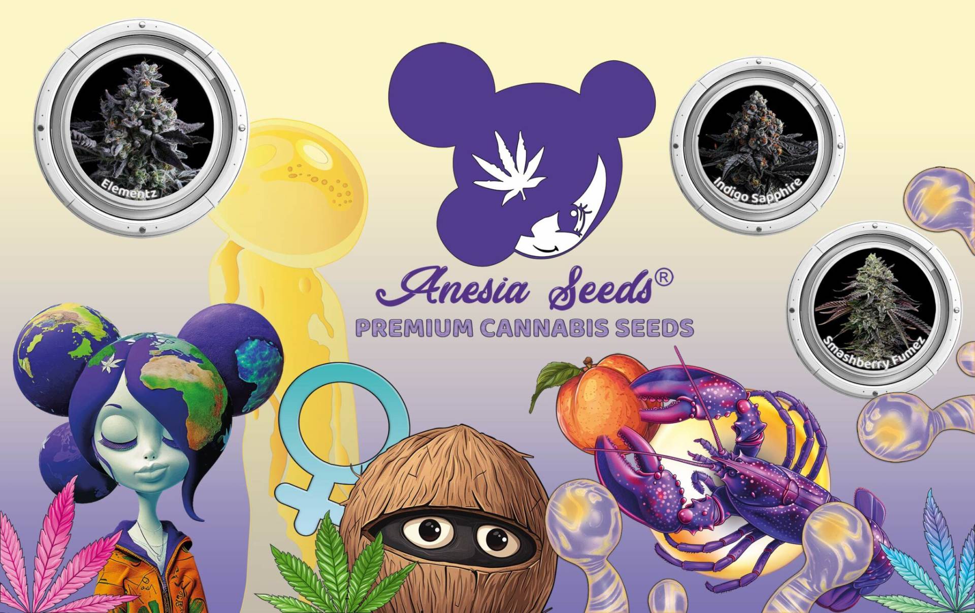 Купить семена каннабиса Anesia Seeds