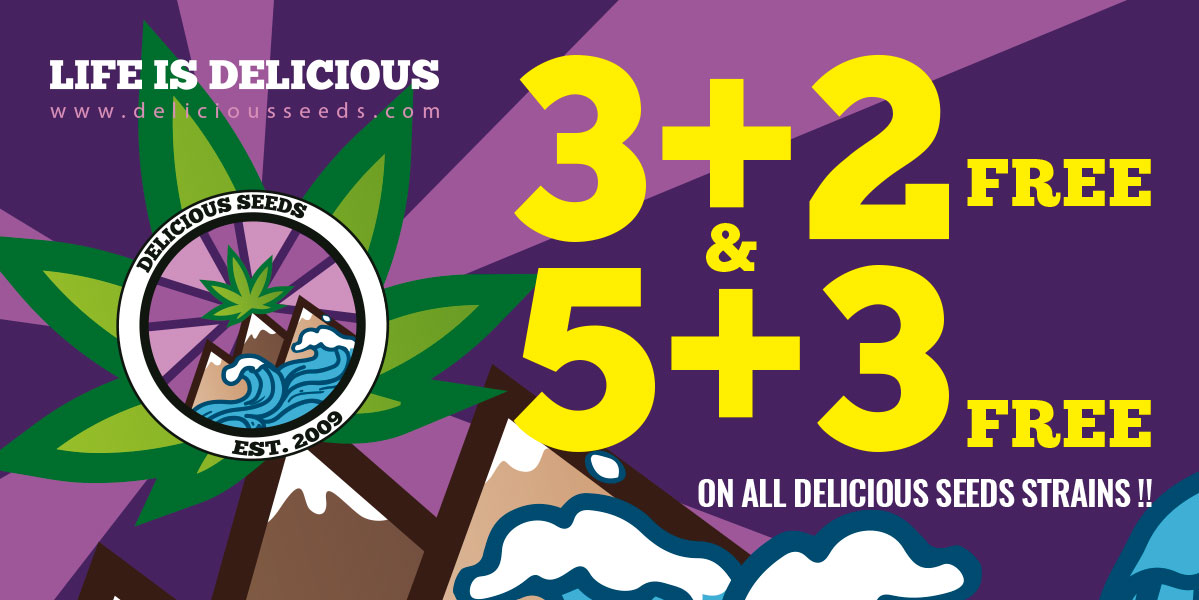 Акция 3+2 и 5+3 на все сорта Delicious Seeds в Toro Growshop