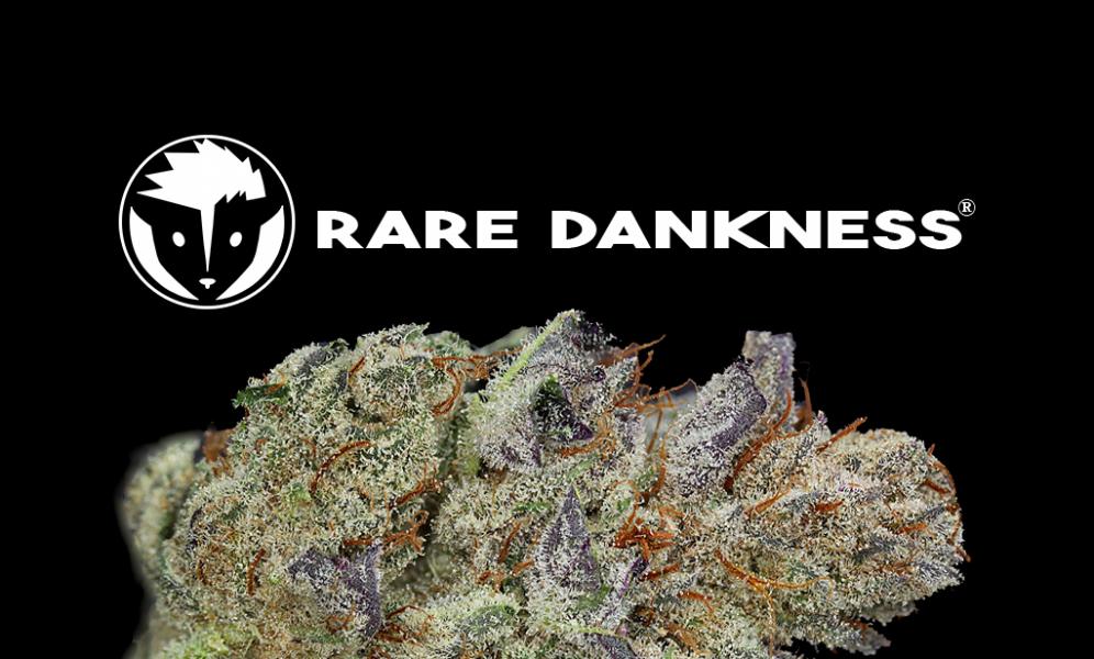 Акция на семена марихуаны Rare Dankness